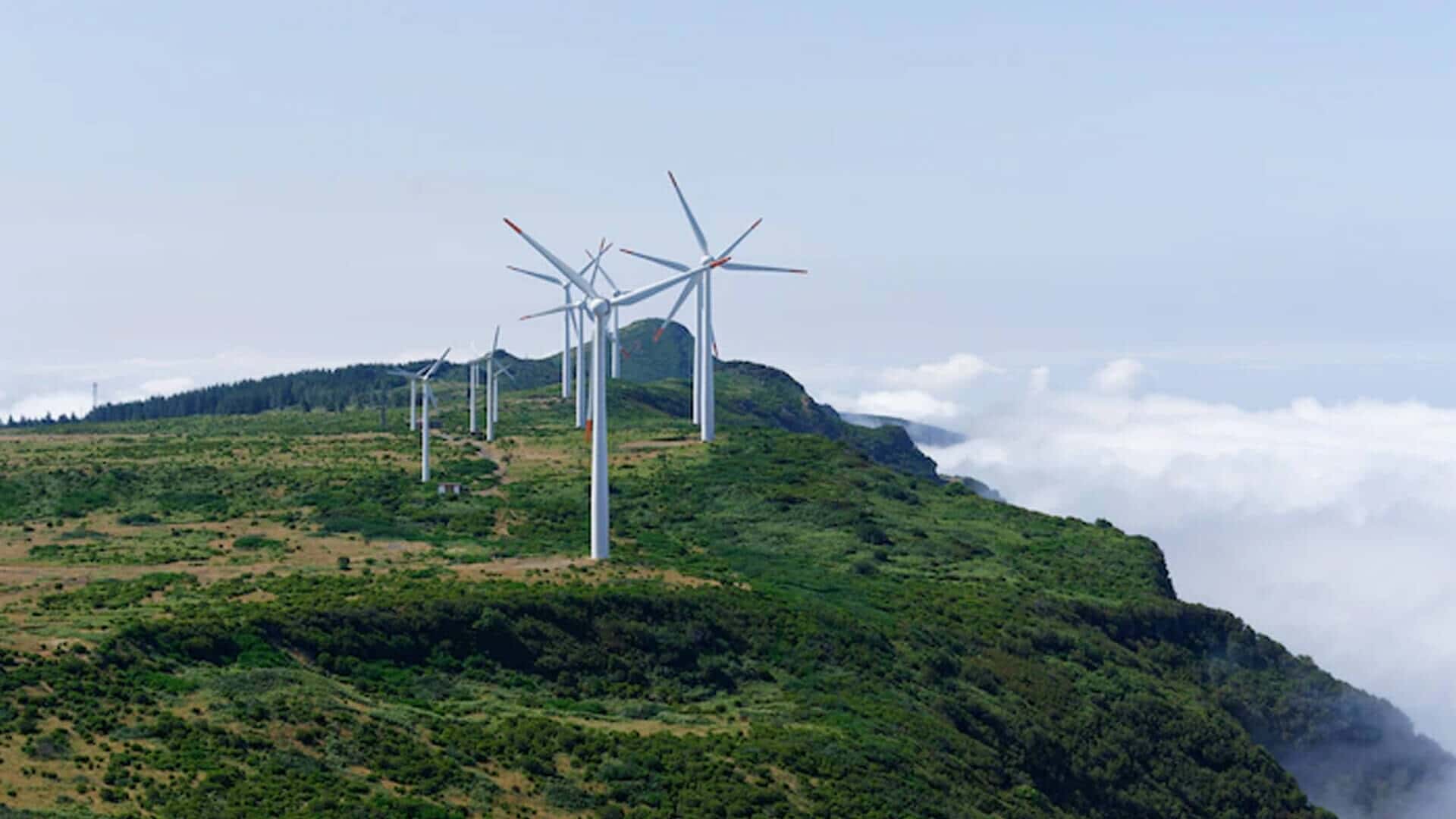 RENEWABLE ENERGY IN TURKEY BACKED BY THE SUN AND WIND
